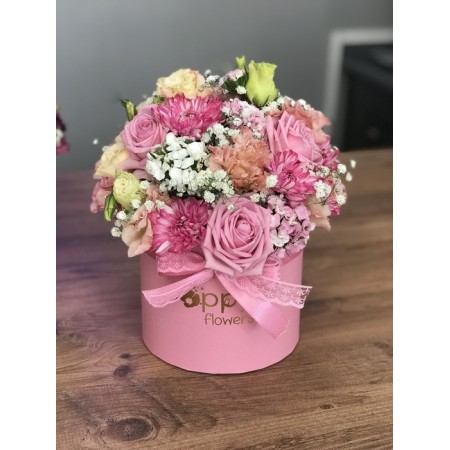 Poppy Box 1